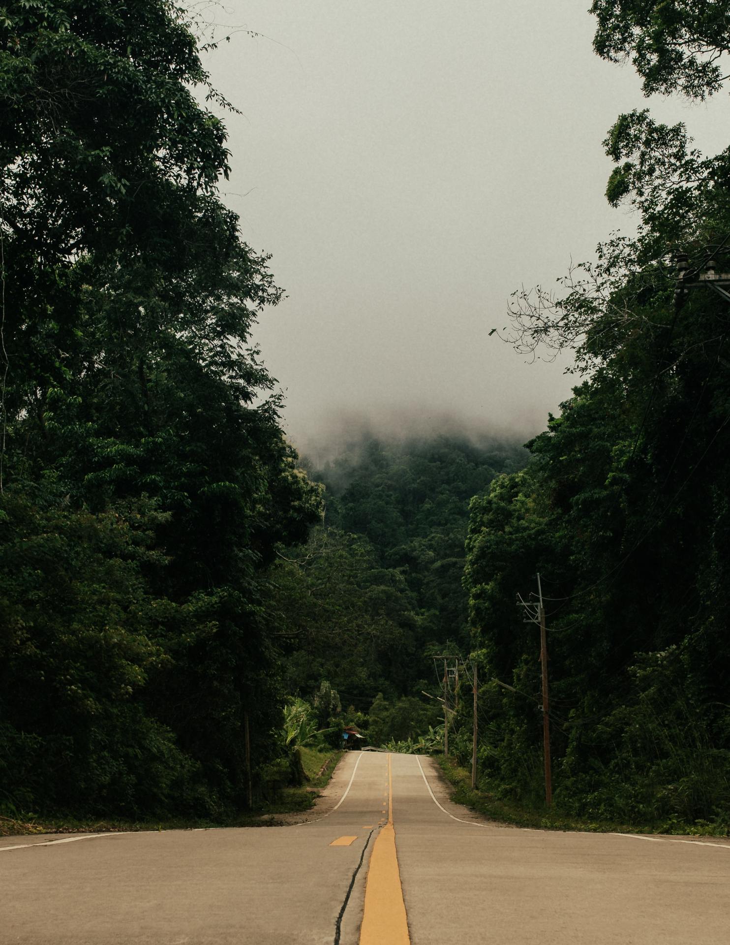 I don't like fog.